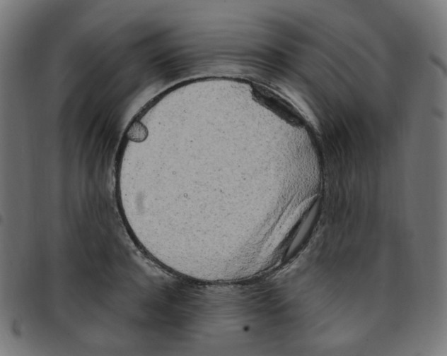 X0000096960944200803071048