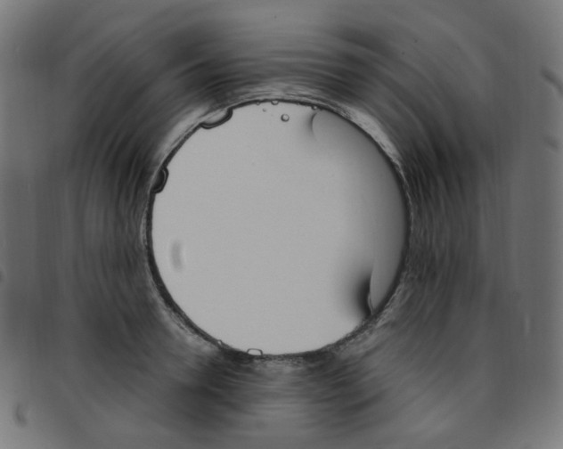 X0000096960946200803071048