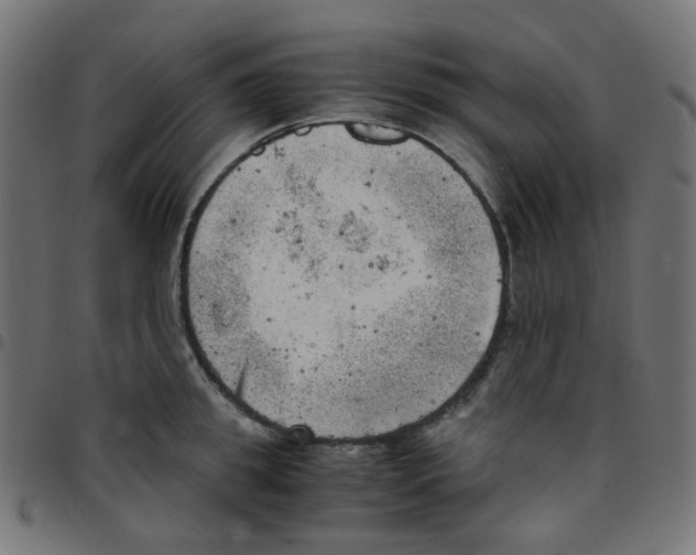 X0000096960949200803071048