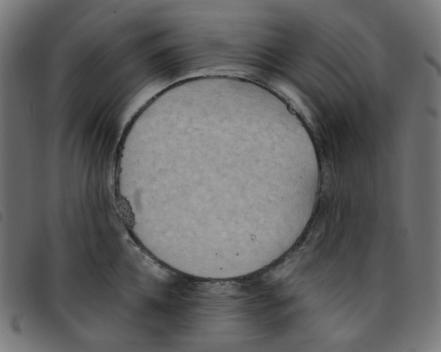 X0000096960952200803071048