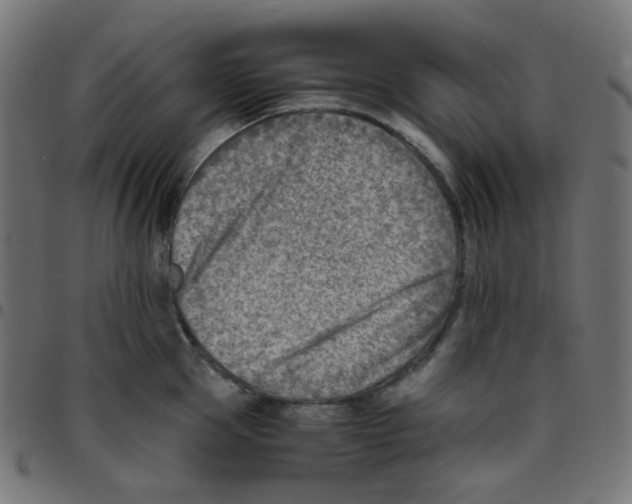 X0000096960953200803071048