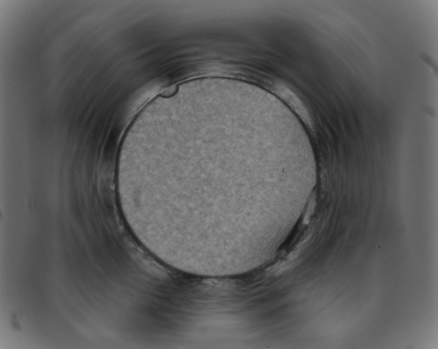 X0000096960954200803071048