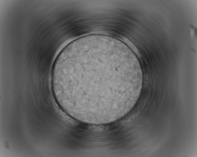 X0000096960955200803071048