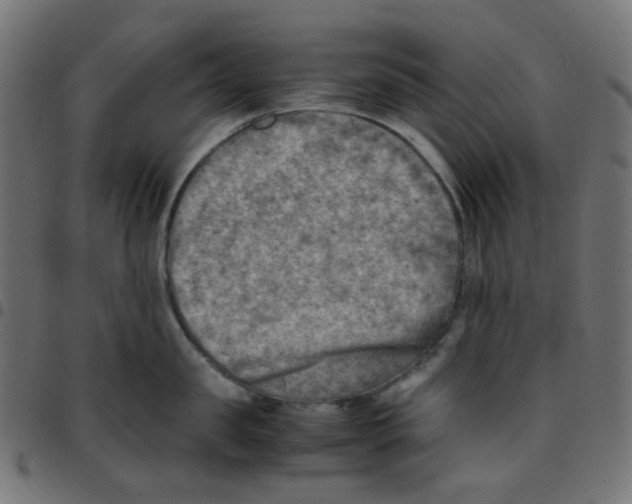 X0000096960957200803071048