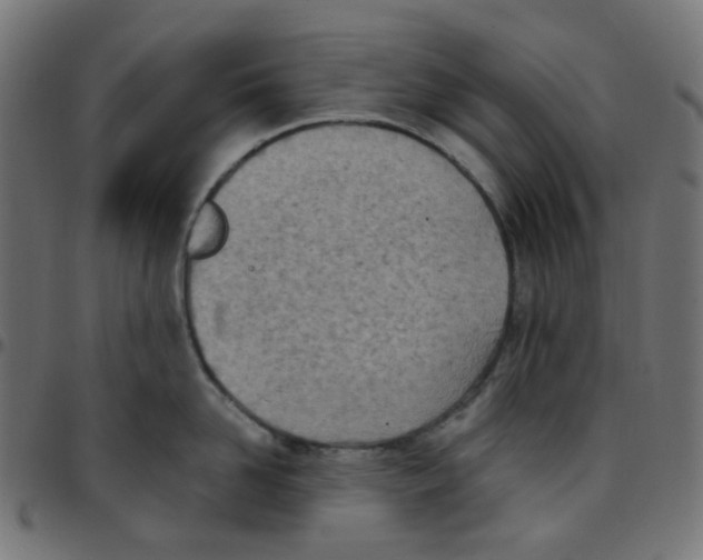 X0000096960958200803071048