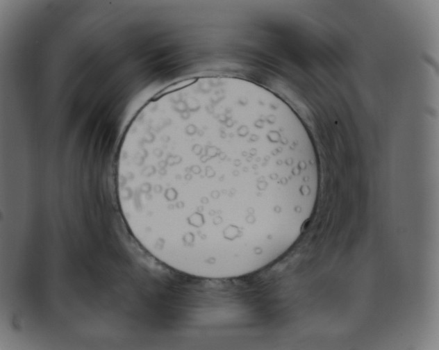 X0000096960960200803071048