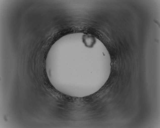 X0000096960961200803071047