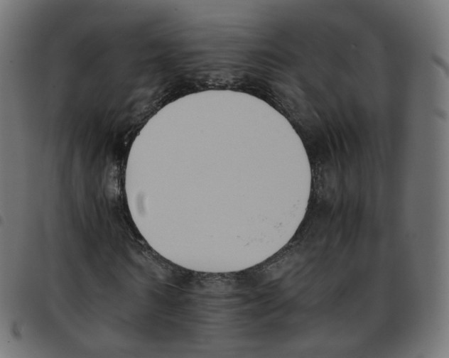 X0000096960962200803071047