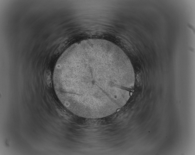 X0000096960963200803071047