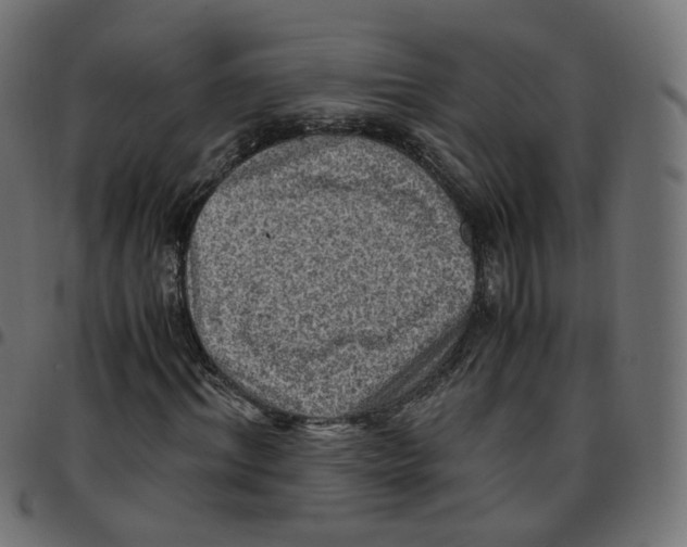 X0000096960964200803071047