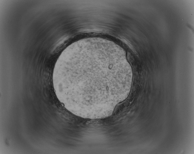 X0000096960967200803071047