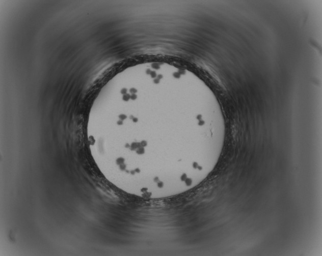 X0000096960968200803071047