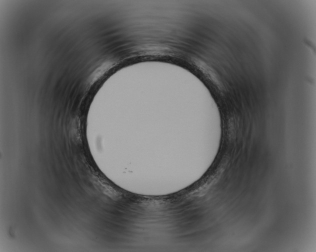 X0000096960970200803071047