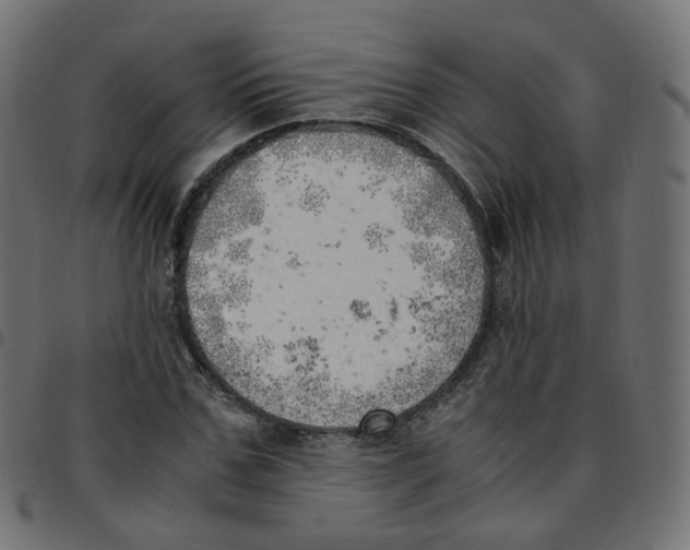 X0000096960971200803071047