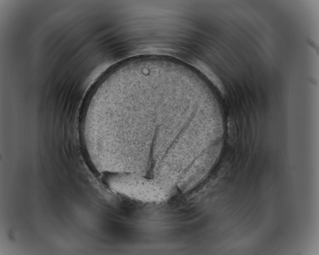 X0000096960972200803071047