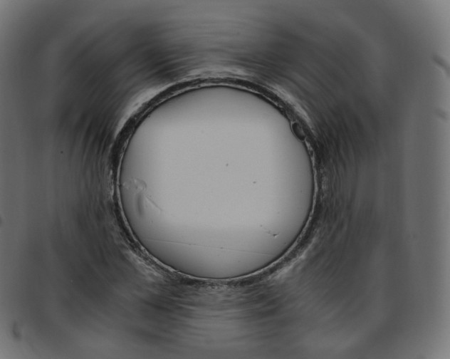 X0000096960973200803071047