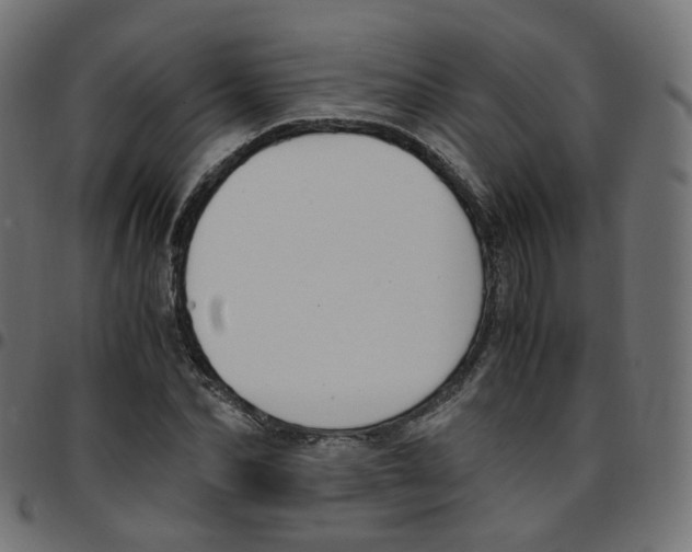 X0000096960974200803071047