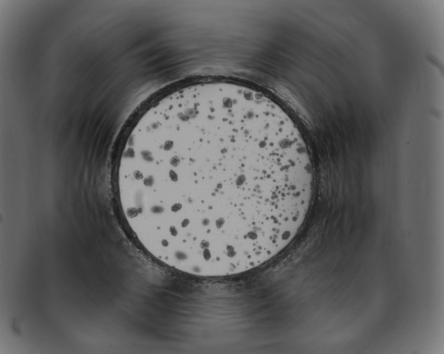 X0000096960976200803071047