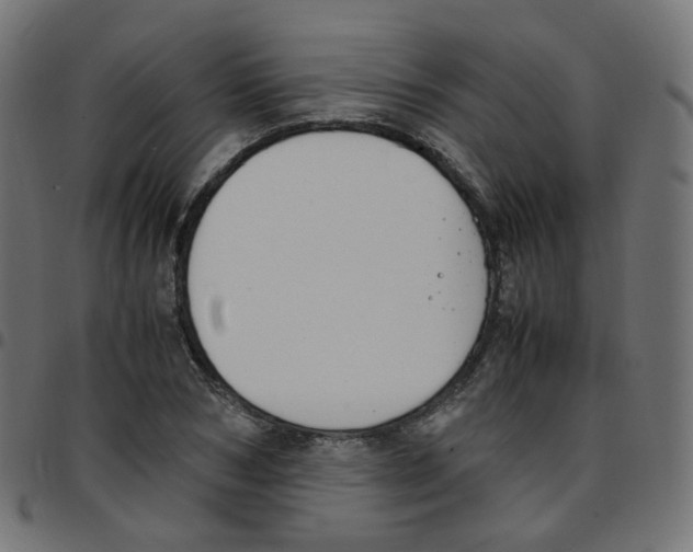 X0000096960978200803071047