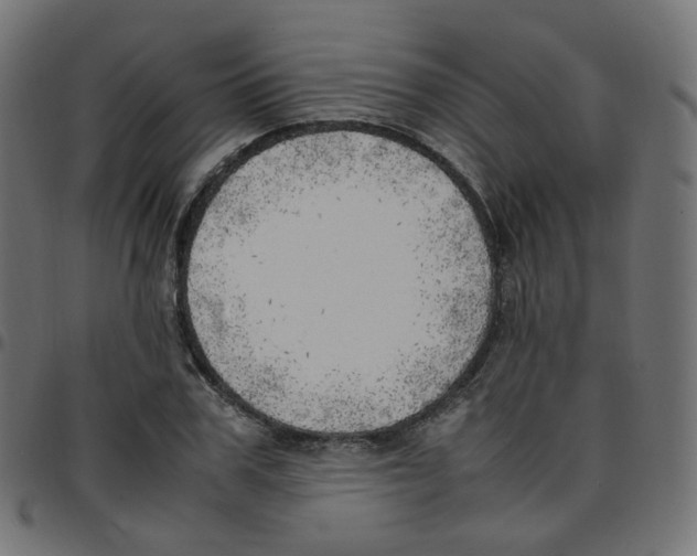 X0000096960979200803071047