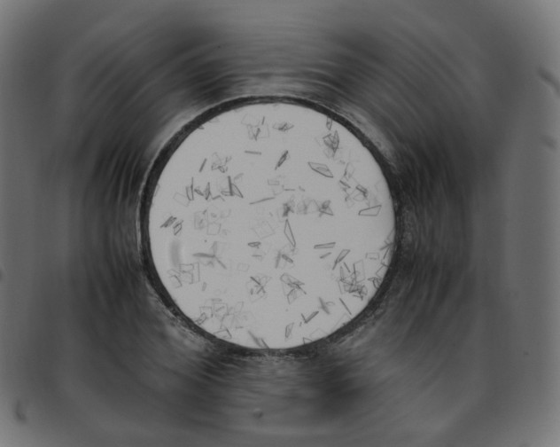 X0000096960980200803071047