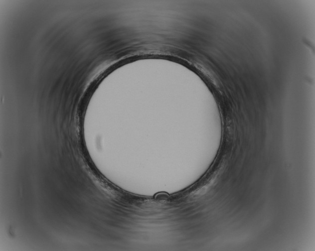 X0000096960981200803071047