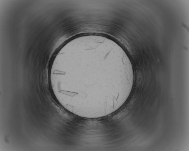 X0000096960982200803071047