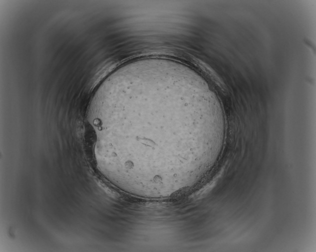 X0000096960985200803071047