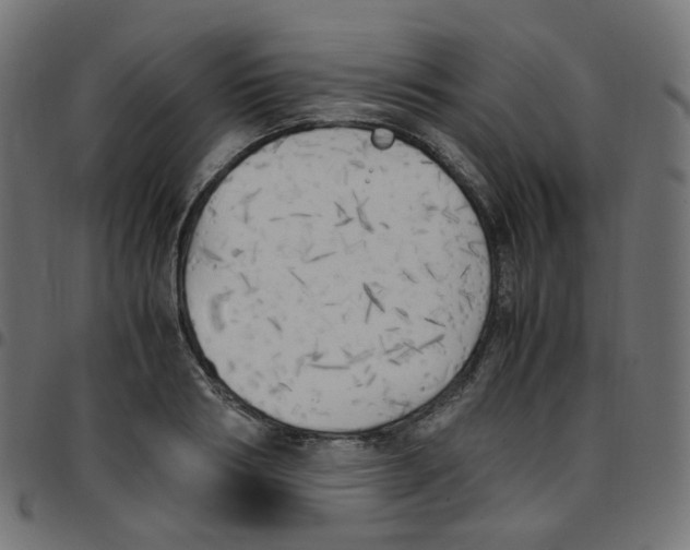 X0000096960986200803071047