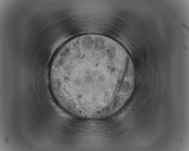 X0000096960987200803071047