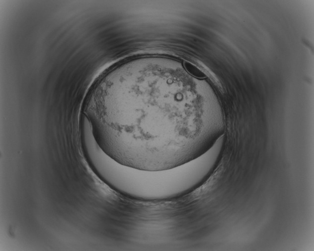 X0000096960988200803071047