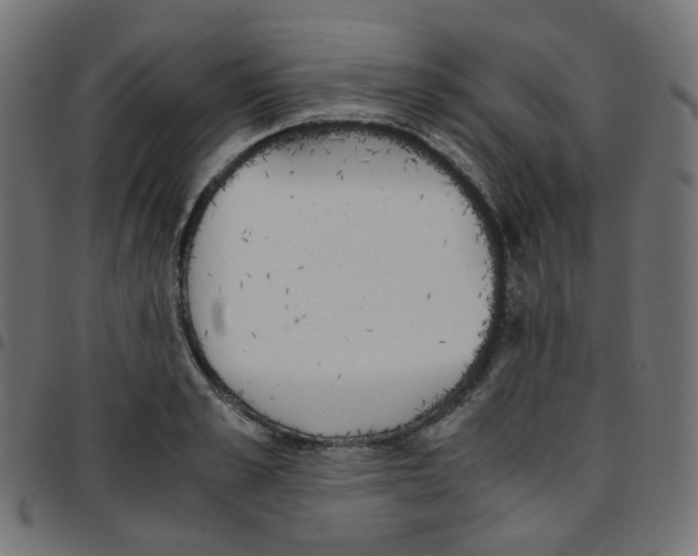 X0000096960989200803071047