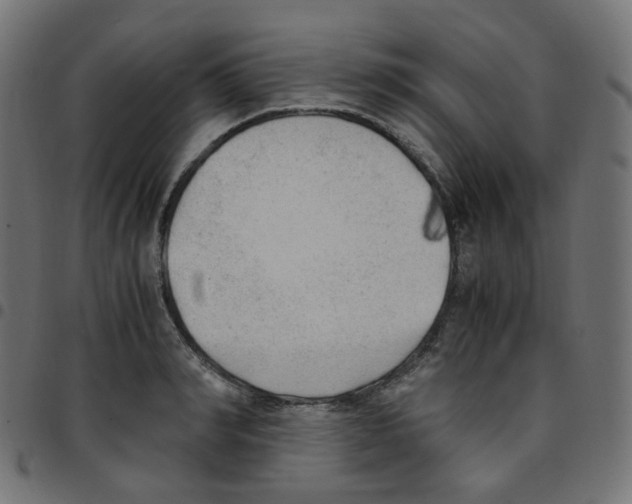 X0000096960990200803071047