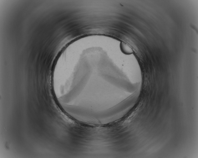 X0000096960992200803071047