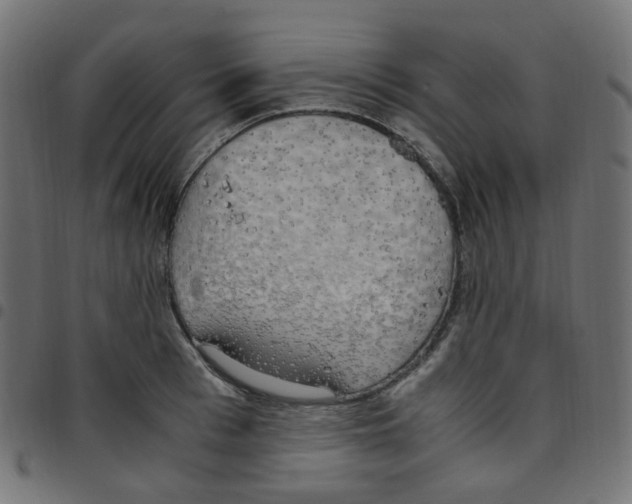 X0000096960993200803071047