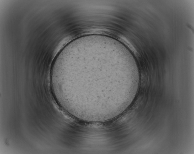 X0000096960994200803071047