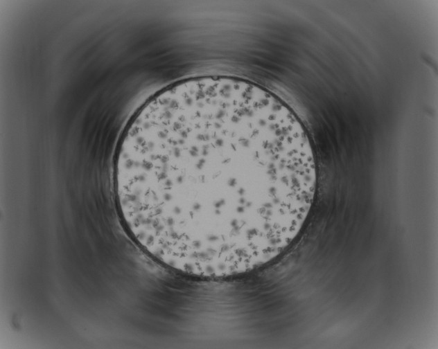 X0000096960996200803071047