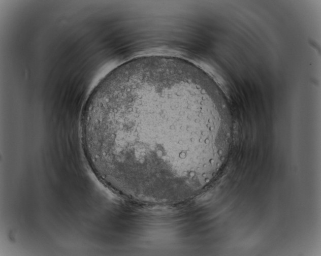 X0000096960998200803071047