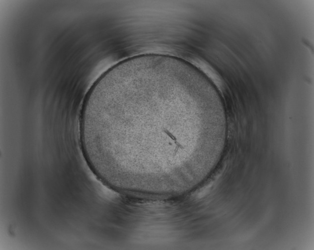 X0000096960999200803071047