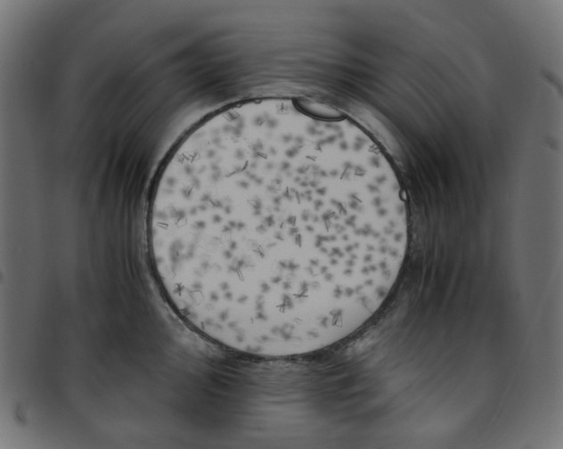 X0000096961000200803071047