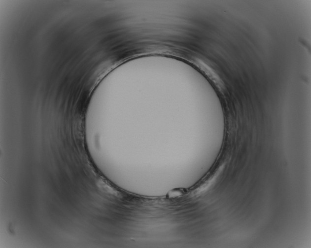 X0000096961001200803071047