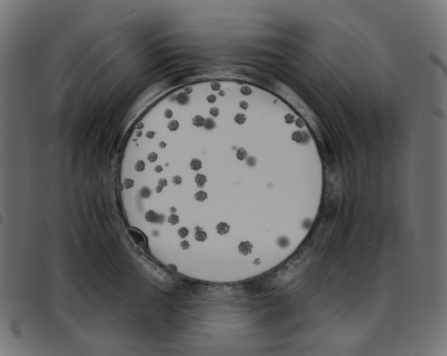 X0000096961002200803071047