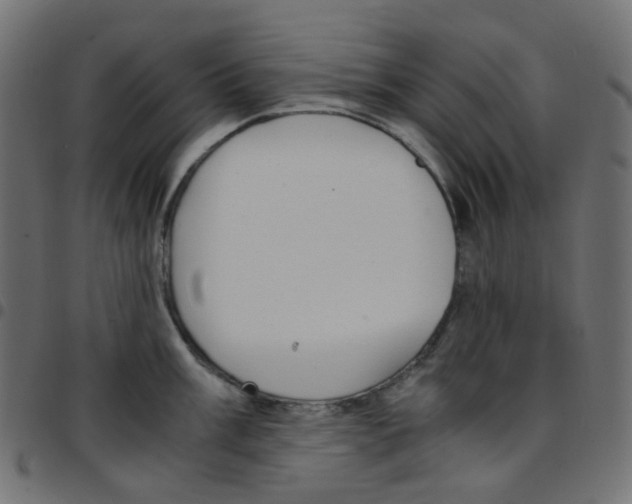 X0000096961003200803071047