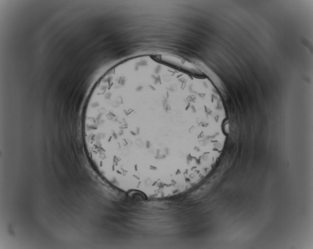 X0000096961004200803071047