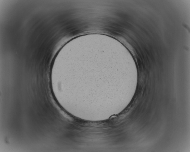 X0000096961005200803071047