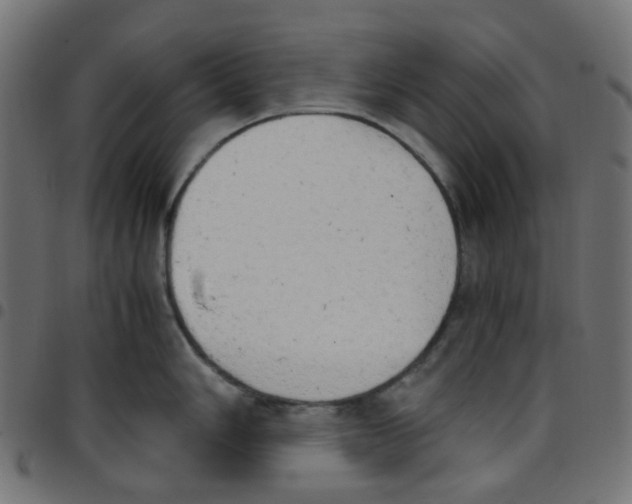 X0000096961006200803071047