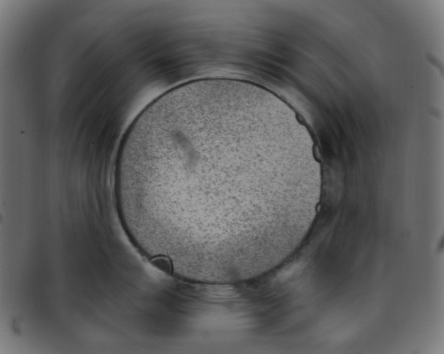 X0000096961007200803071047