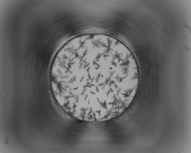 X0000096961008200803071047