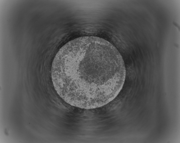 X0000096961009200803071046