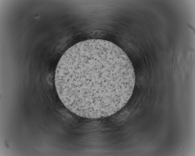 X0000096961010200803071046